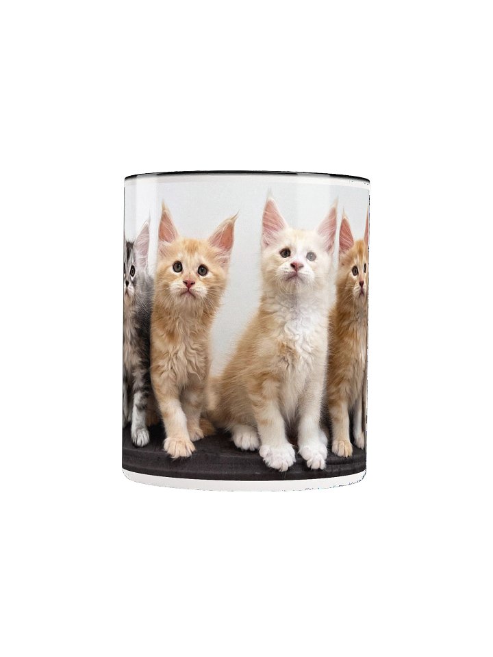 Freya's Kittens - Mug With Color product image (2)
