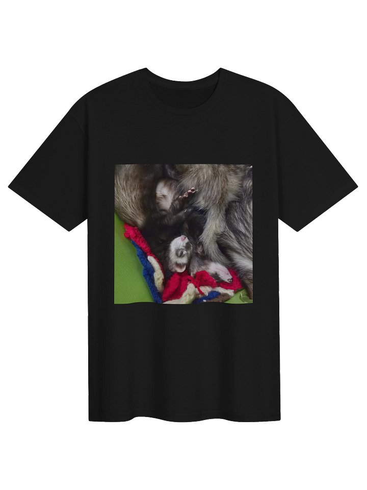 Sleepy Ferrets product image (141)