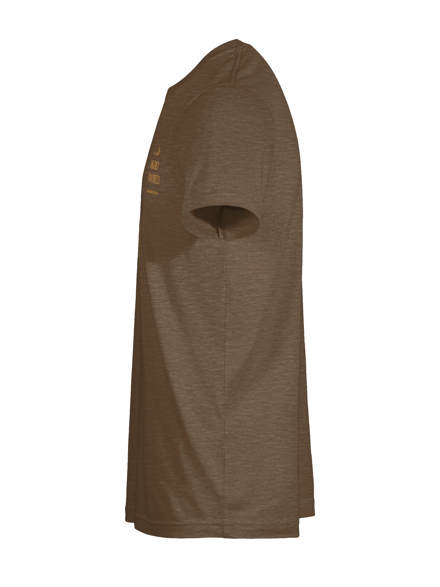Highly Favored. Dangerously literate. Chocolate tee. product image (9)
