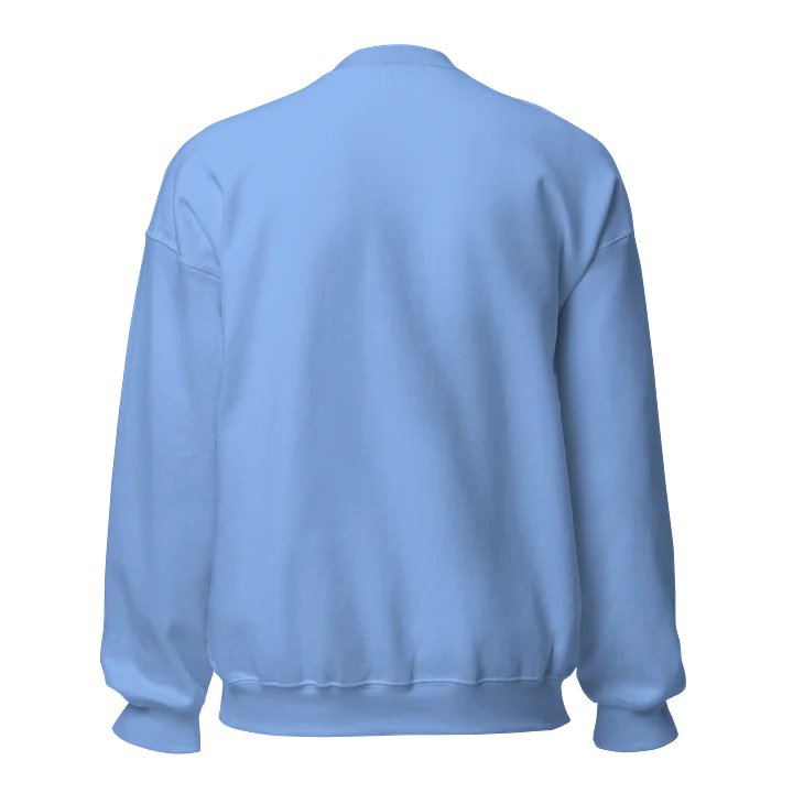 Signature Colour Block Unisex Sweatshirt product image (2)