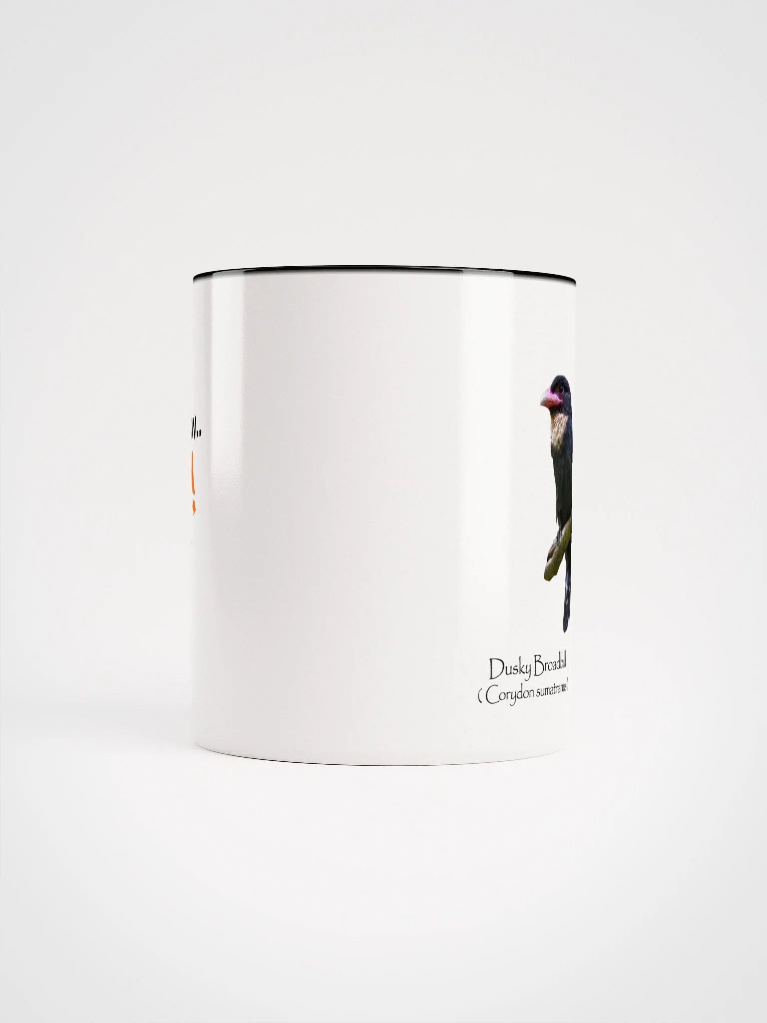 Dusky Broadbill product image (46)