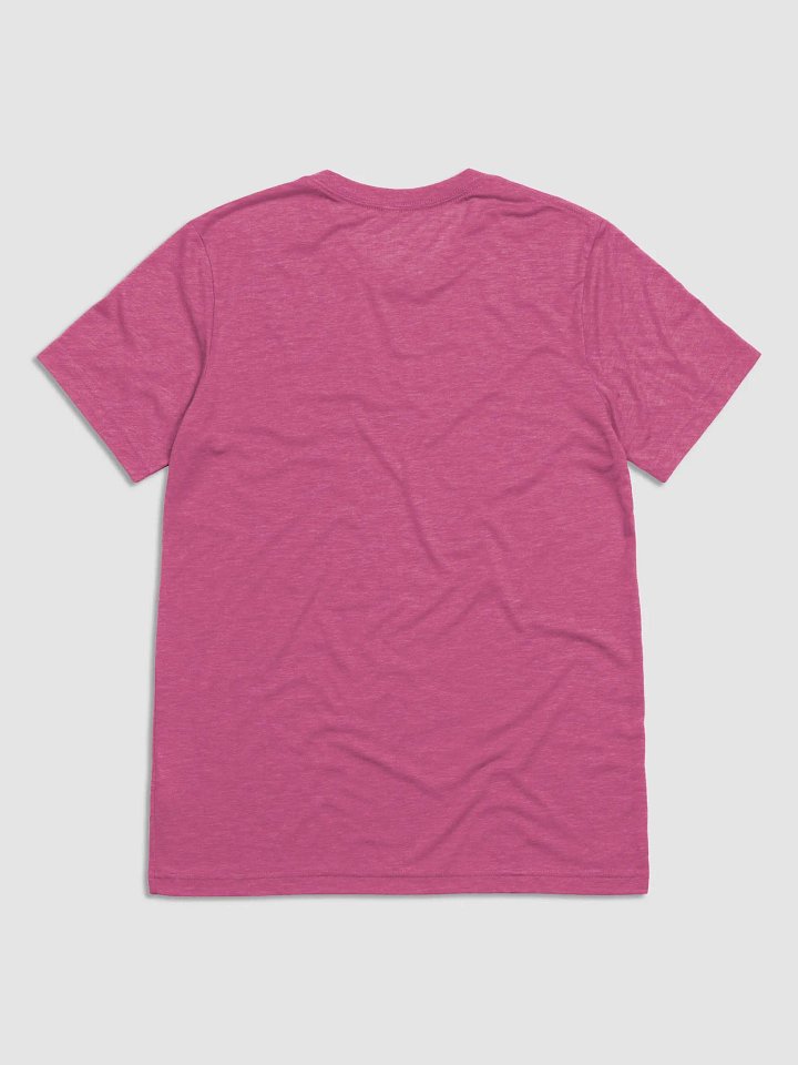 Chosen Premium TriBlend Tee - Many Colors product image (2)