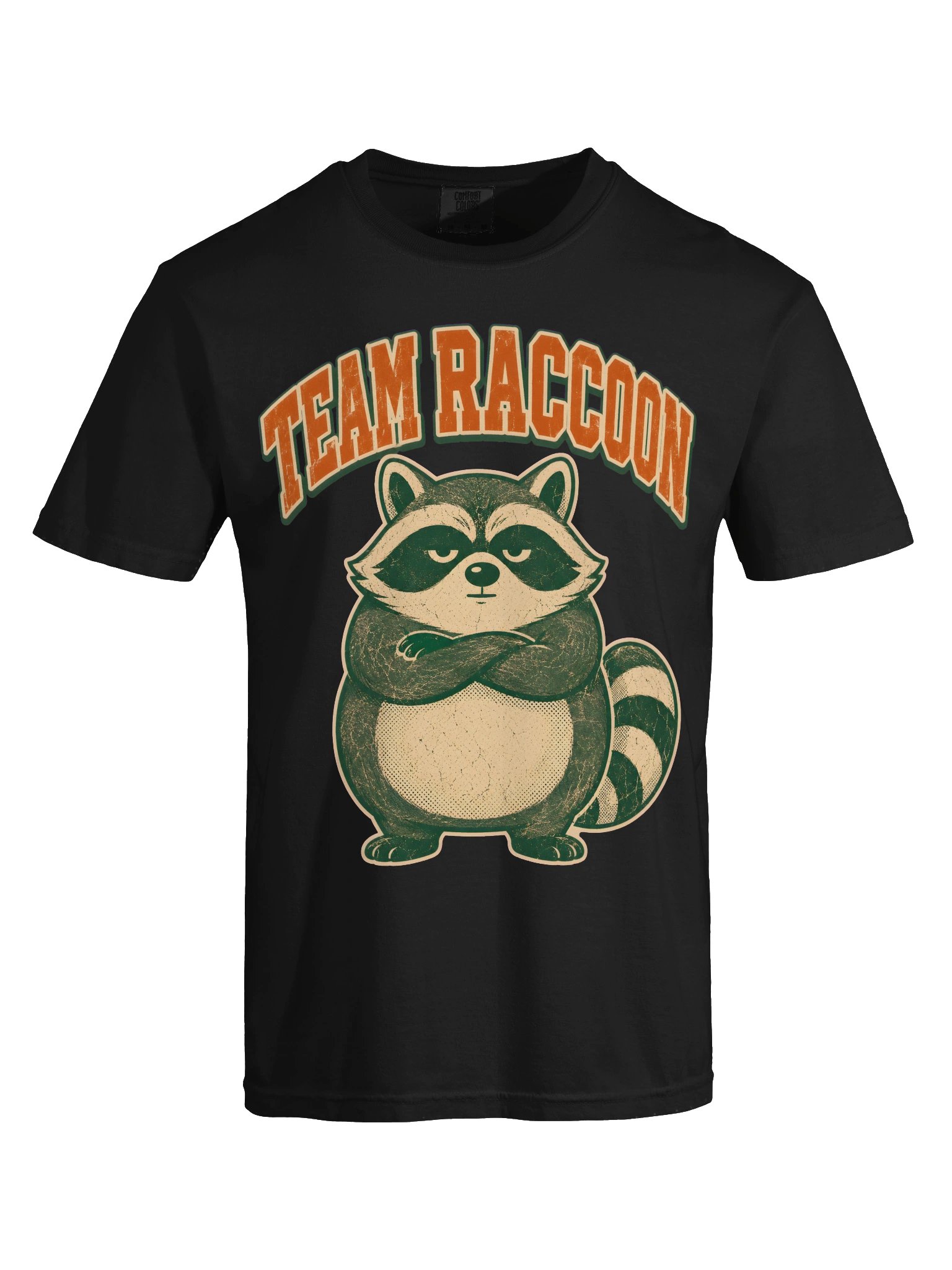 Team Raccoon - Funny Trash Panda Squad T-Shirt product image (62)