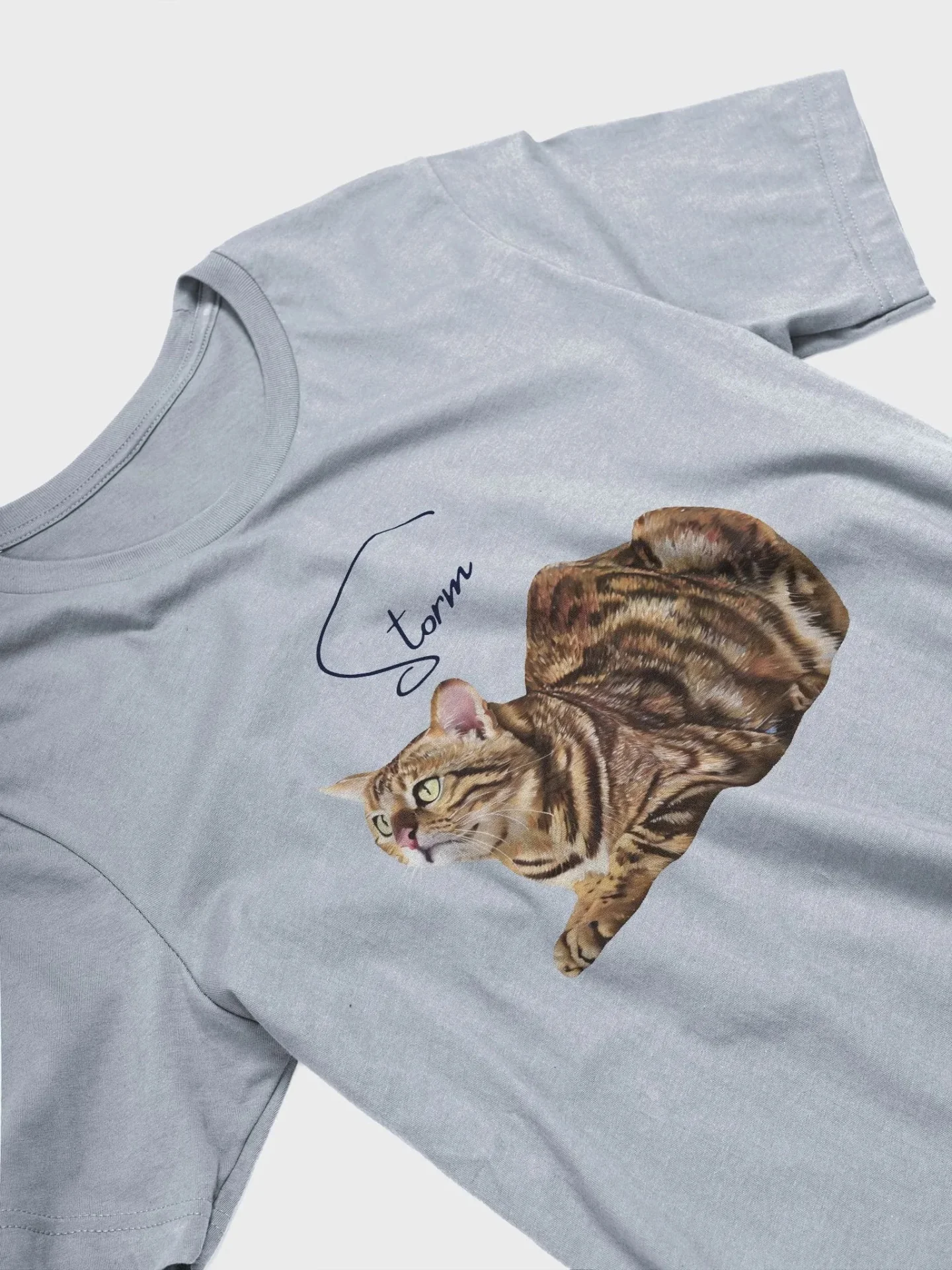 Custom Oil Painting Style Pet Portrait T-Shirt product image (17)