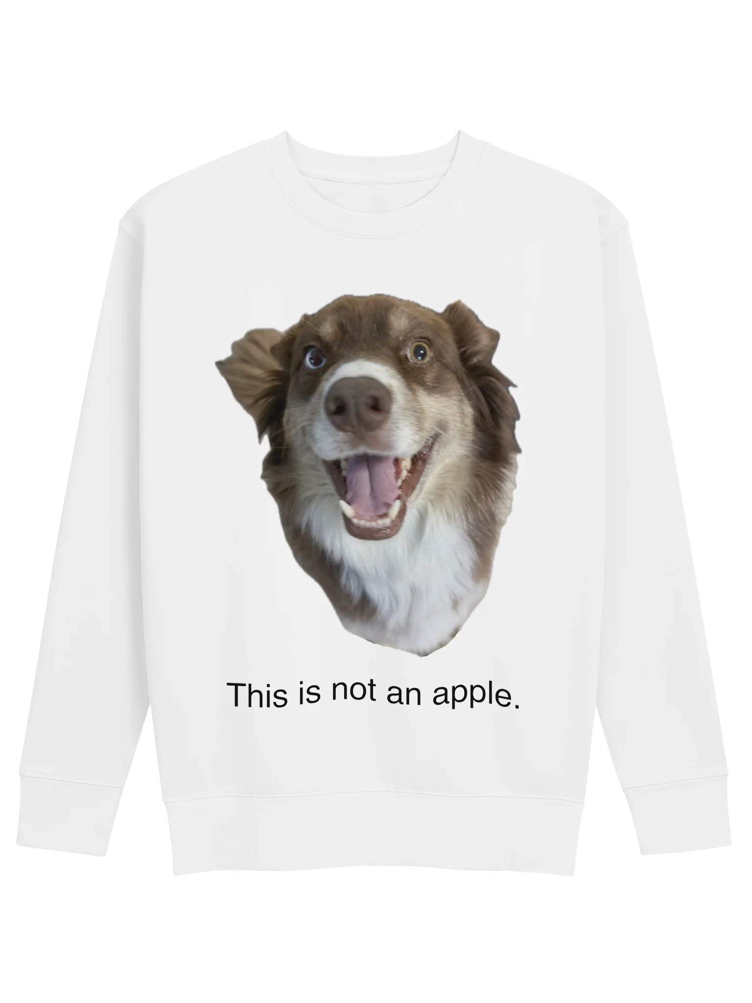 THIS IS STILL A DOG. product image (1)