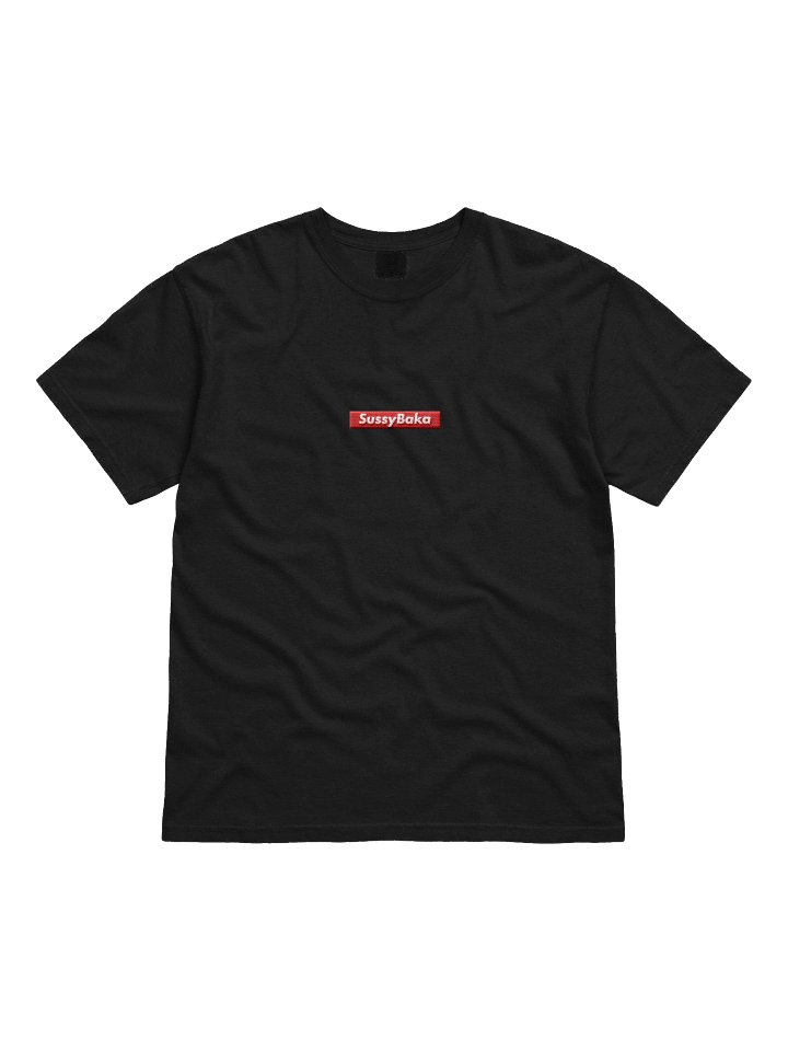 SussyBaka Romaji Embroidered Tee product image (1)