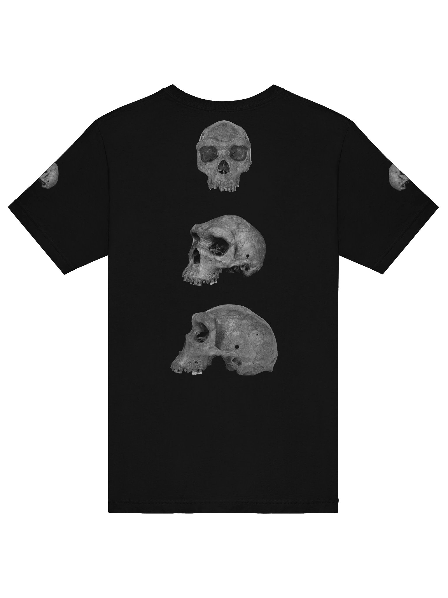 Heidelbergensis Fossil Skull T-Shirt Dark product image (26)