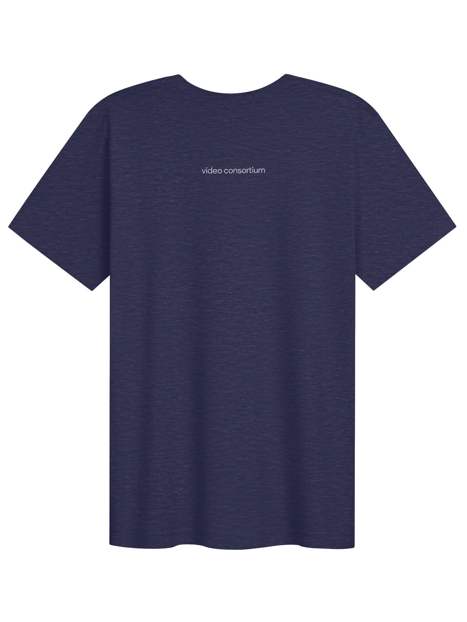 VC Globe Tee — Dark product image (12)