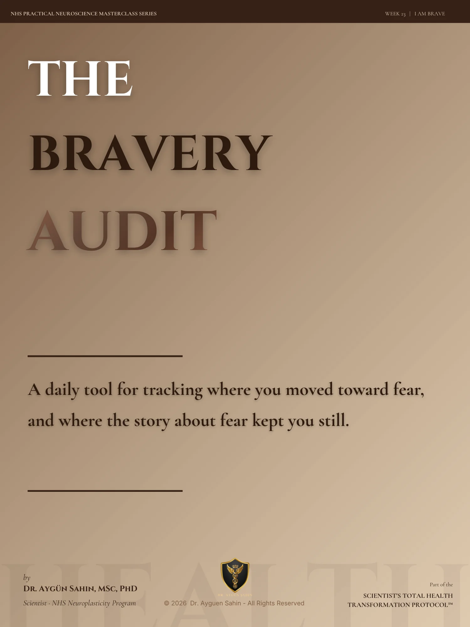 The Bravery Audit product image (1)