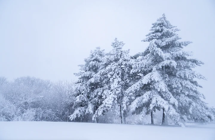 Snow Place Like Home product image (1)