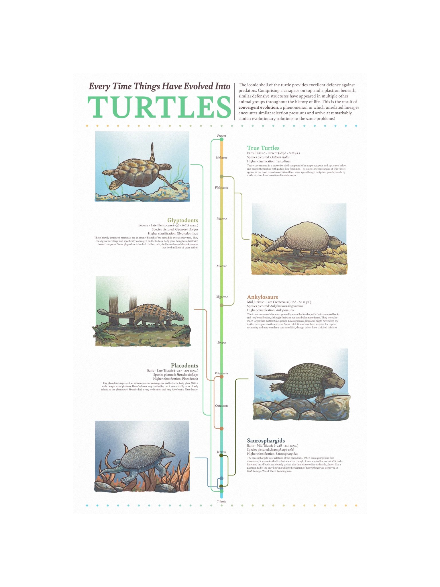Turtle Convergence Poster product image (4)