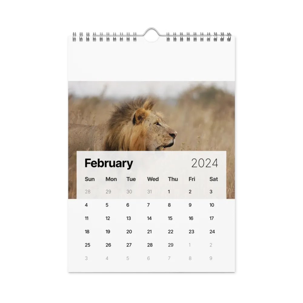 sunsmile year product image (5)