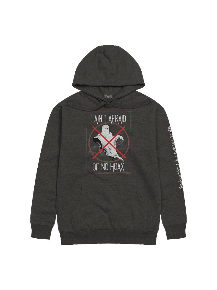 I Ain’t Afraid of No Hoax Hoodie – Warmth for the Cold, Hard Truth product image (2)