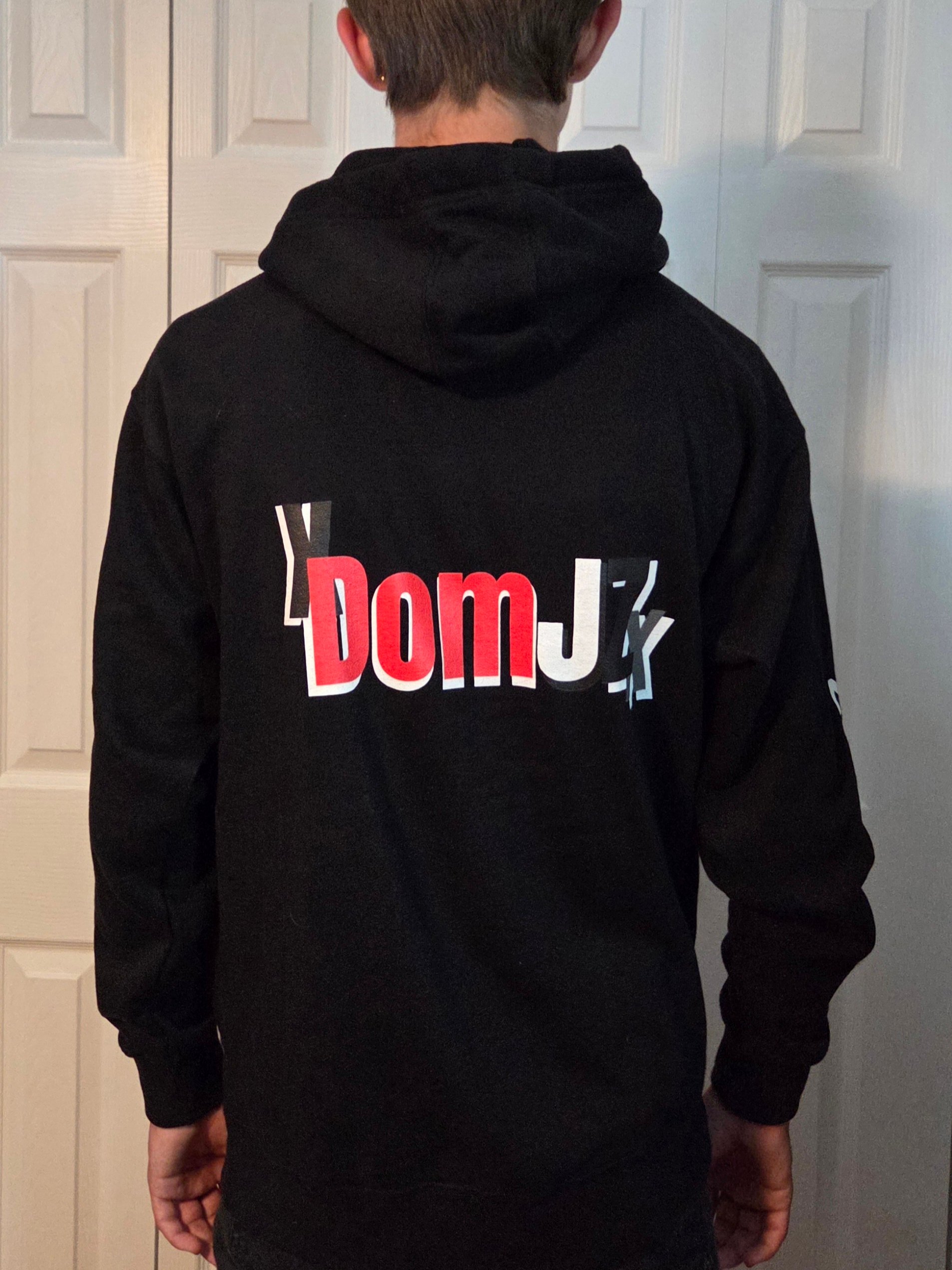 DomJZ PFP & Logo Graphic Hoodie product image (2)