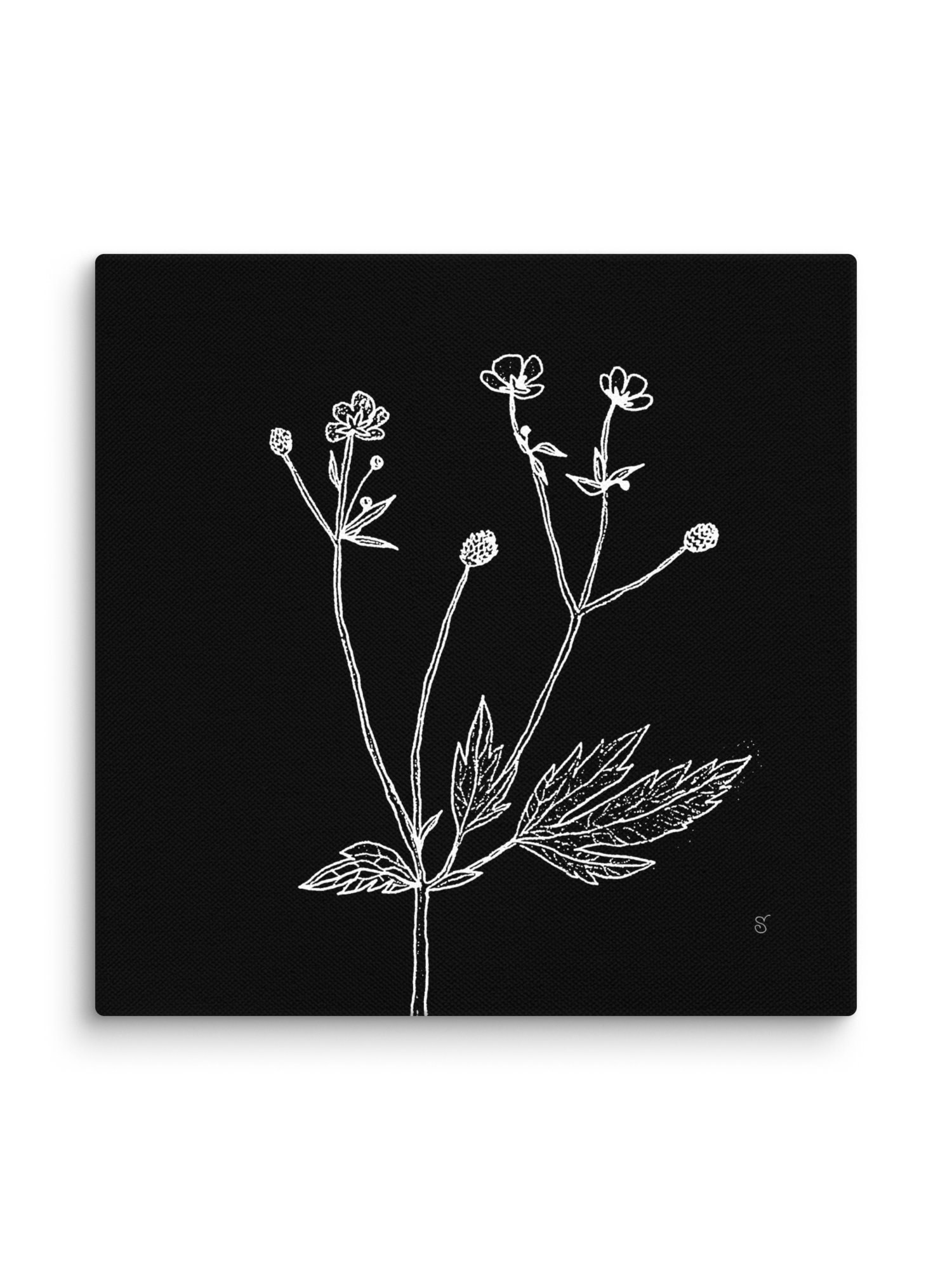 Botanical Reverie Canvas Prints - Wild Flowers Dark product image (2)