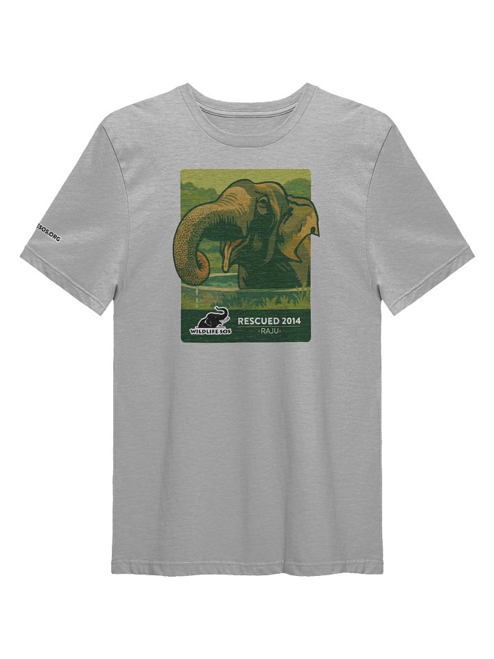 Raju - Rescued 2014! product image (4)