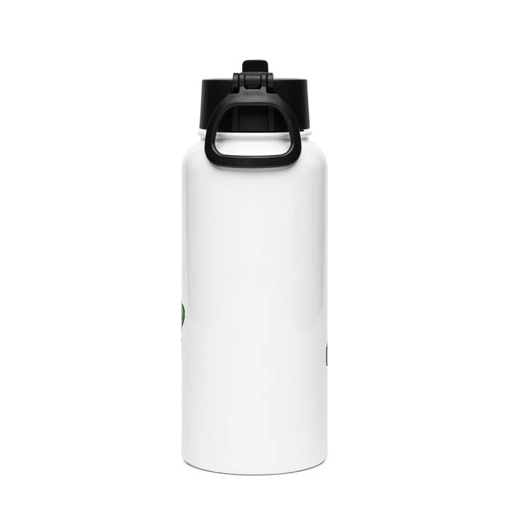 Stainless Steel Water bottle With Straw - Bin product image (2)