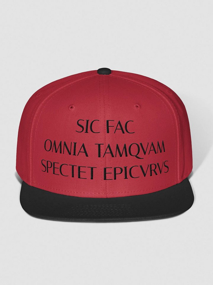 SFOTSE DARK (Otto Wool Blend Snapback Cap) product image (18)