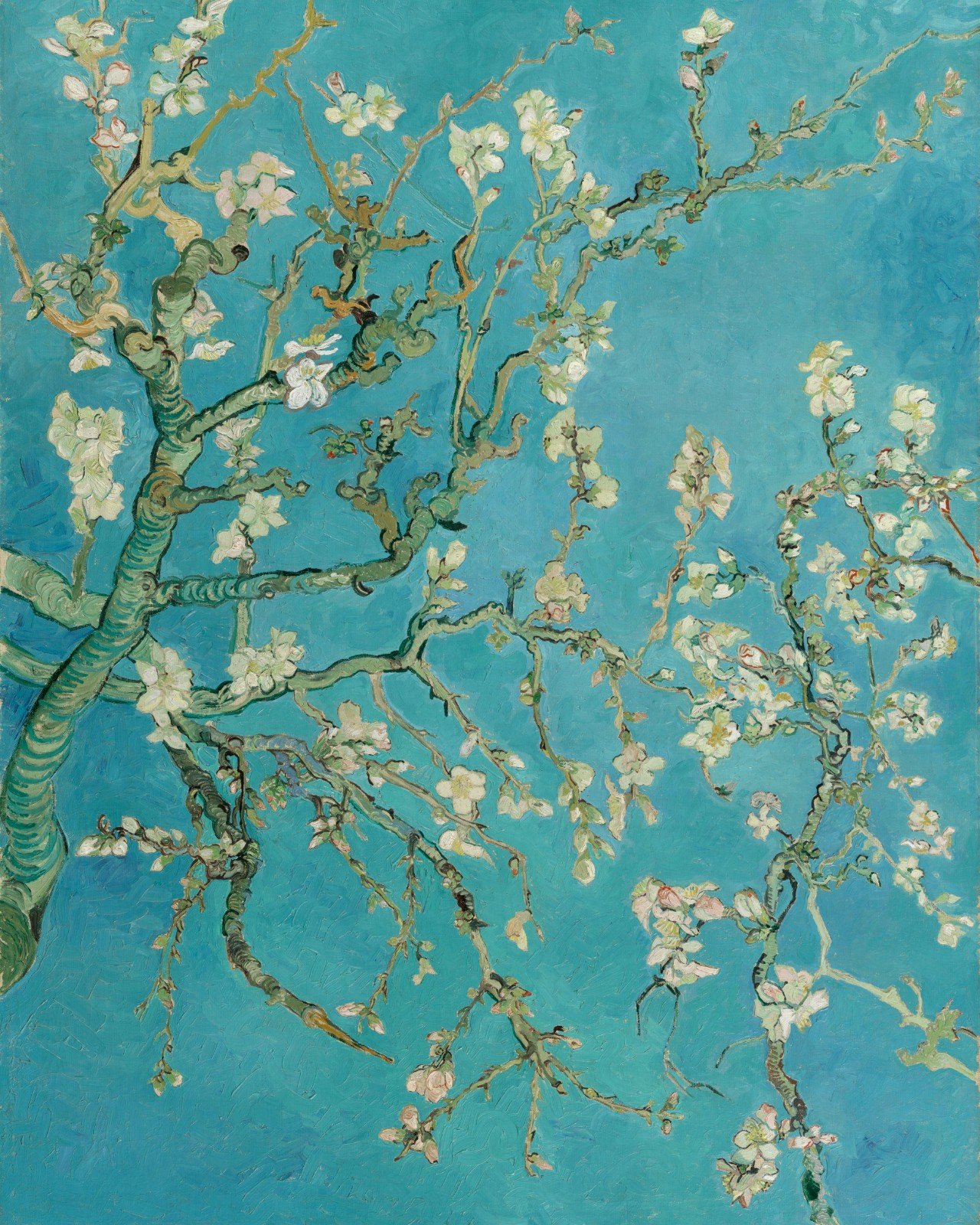 Van Gogh, Almond Blossom — Fine-Art Poster product image (1)