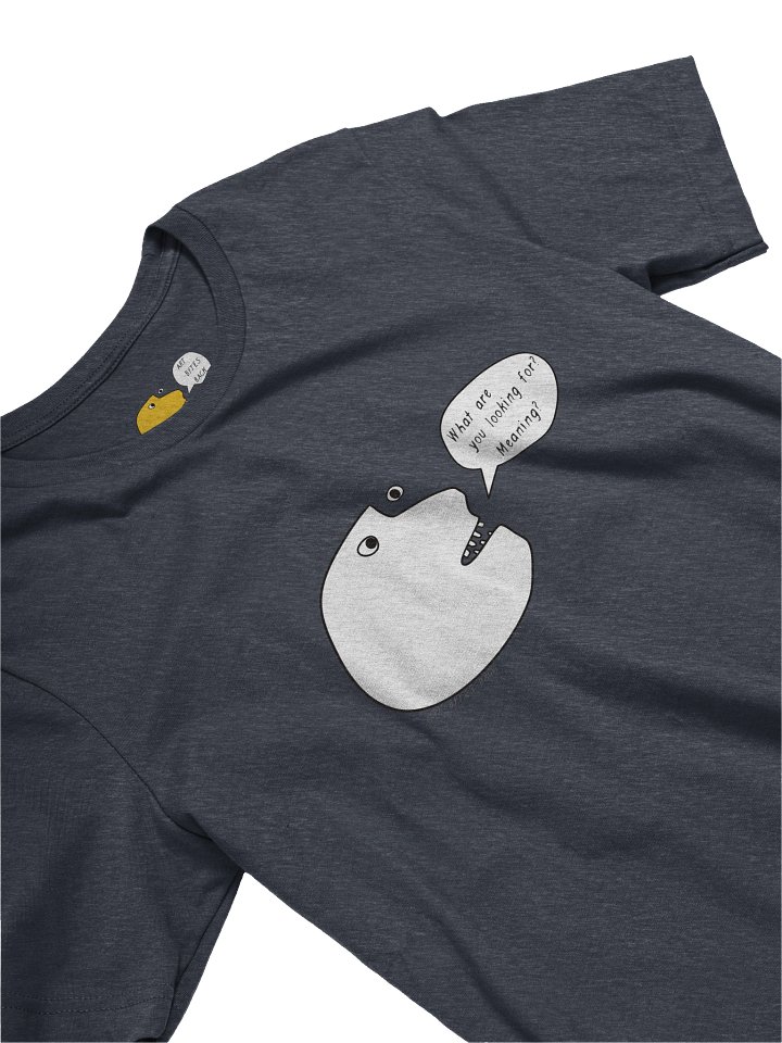 What are you Looking For? Meaning? product image (2)