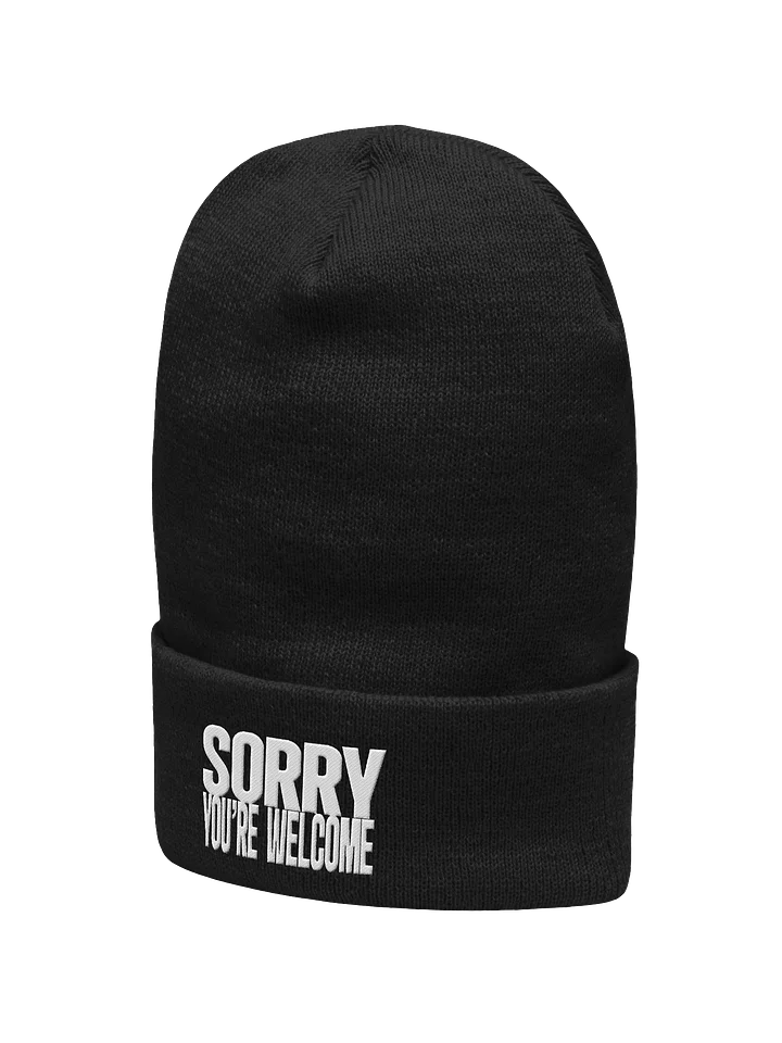 Sorry, You're Welcome (Embroidered Beanie) product image (2)