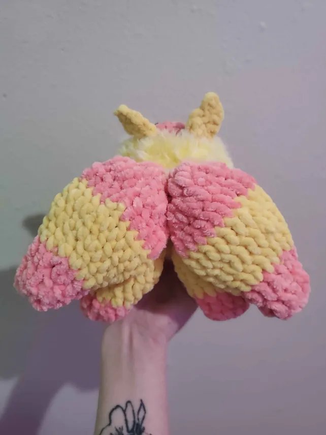 Rosy Maple Moth product image (3)