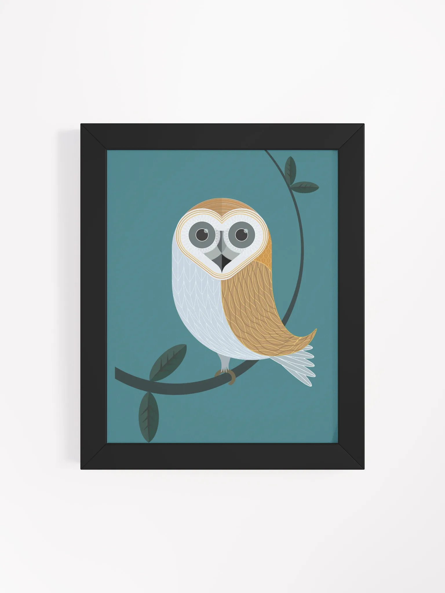 Barn owl product image (64)