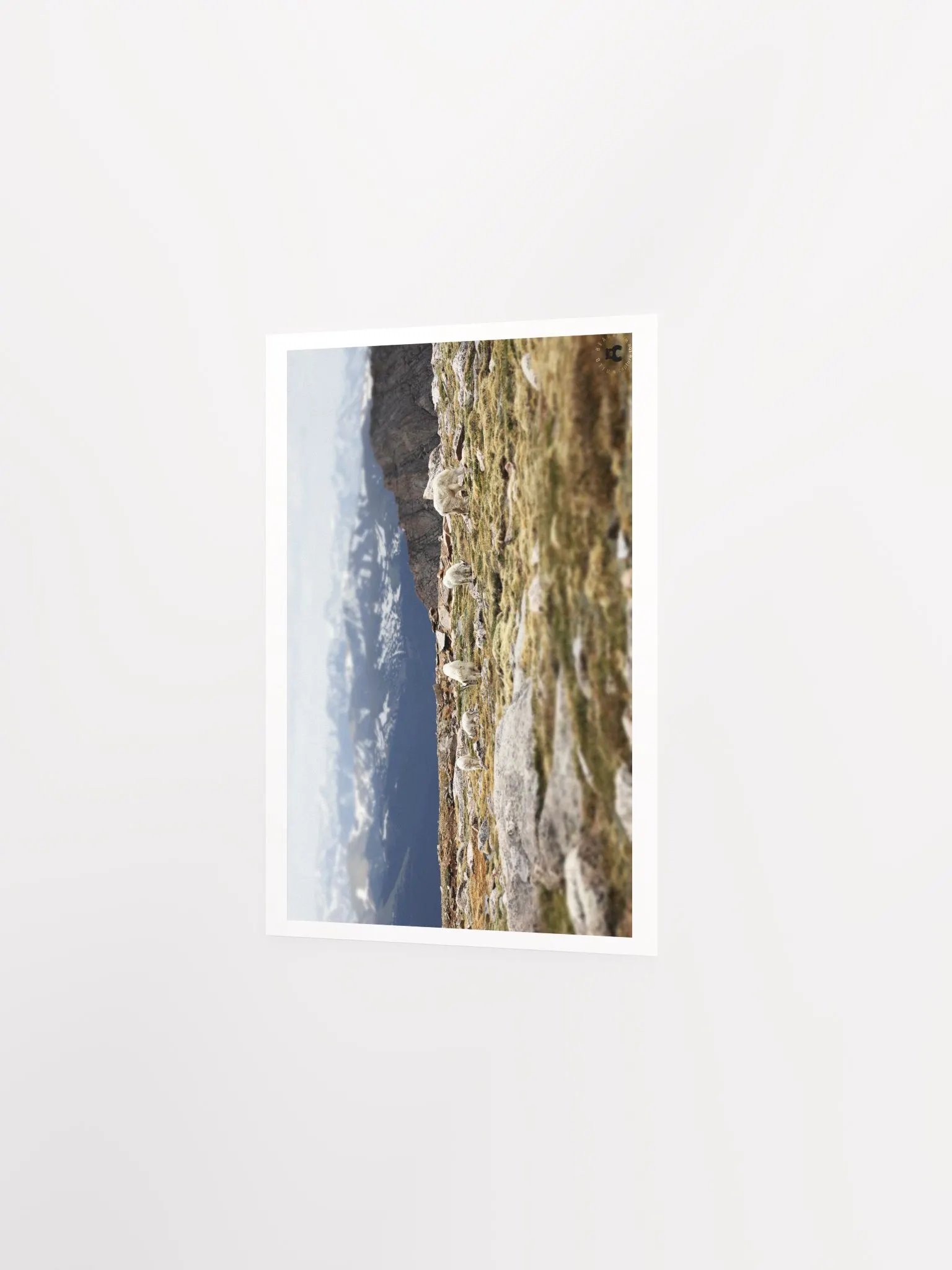 Mountain Goats Grazing Poster product image (9)