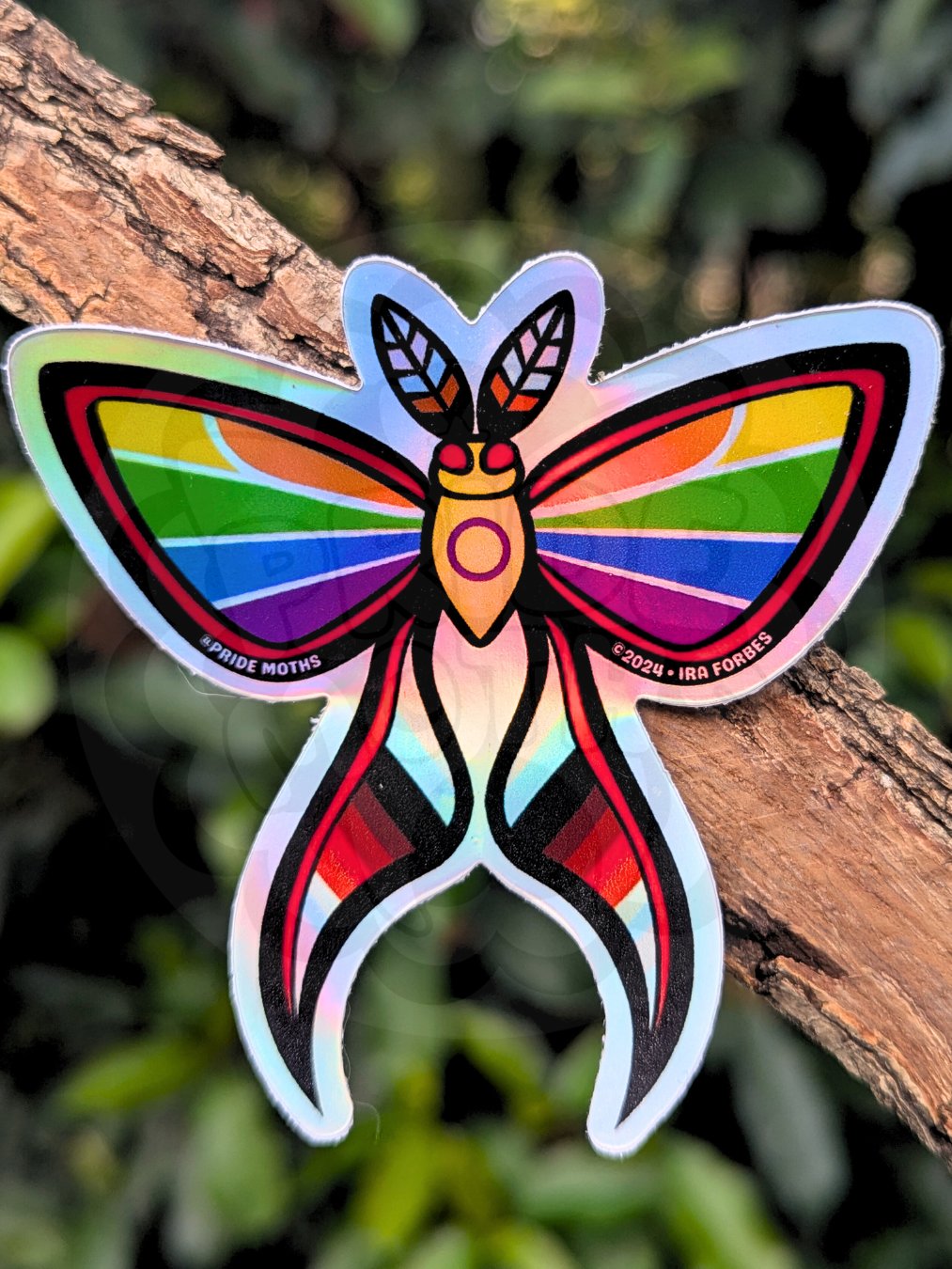 № 1 | PROGRESS PRIDE MOTH | HOLOGRAPHIC STICKER | (1-PACK) product image (1)