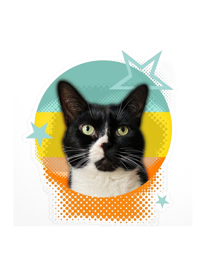 Retro Onyx Sticker | Autocollant product image (1)