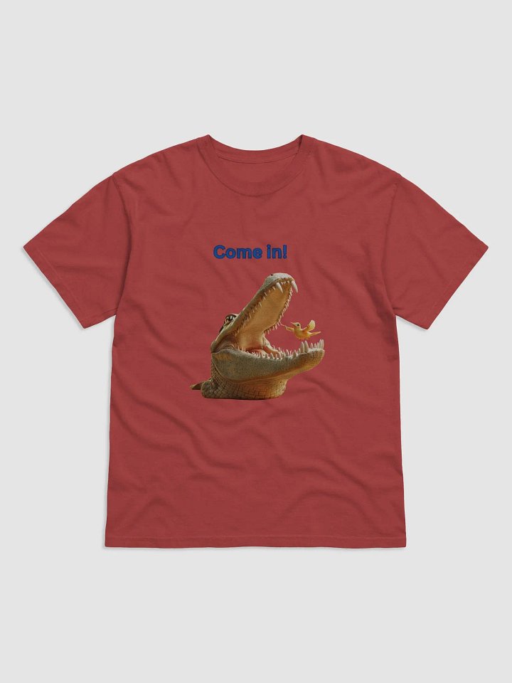 Come in! product image (1)