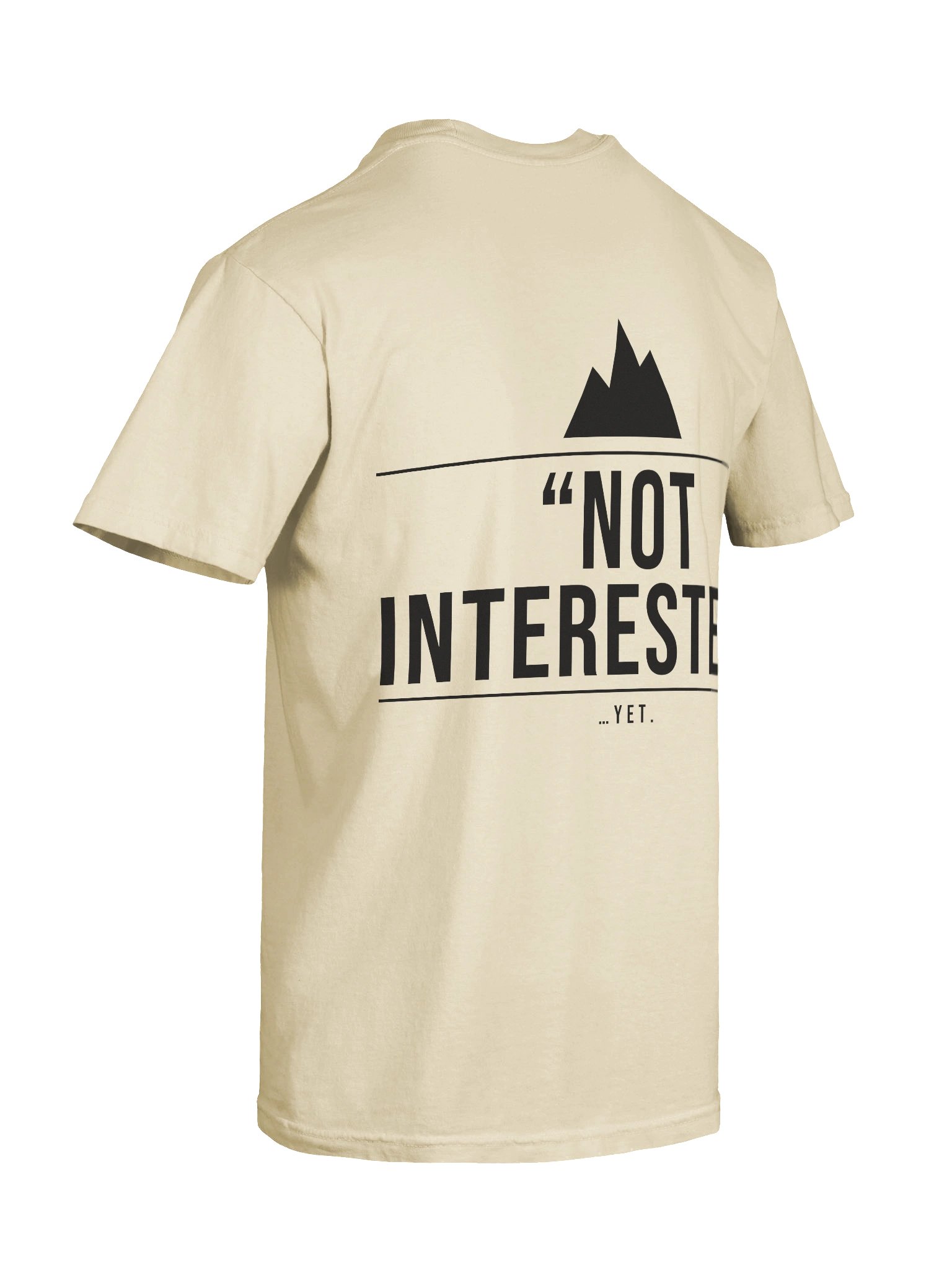 "No Soliciting" Heavyweight Tee — Ivory product image (32)