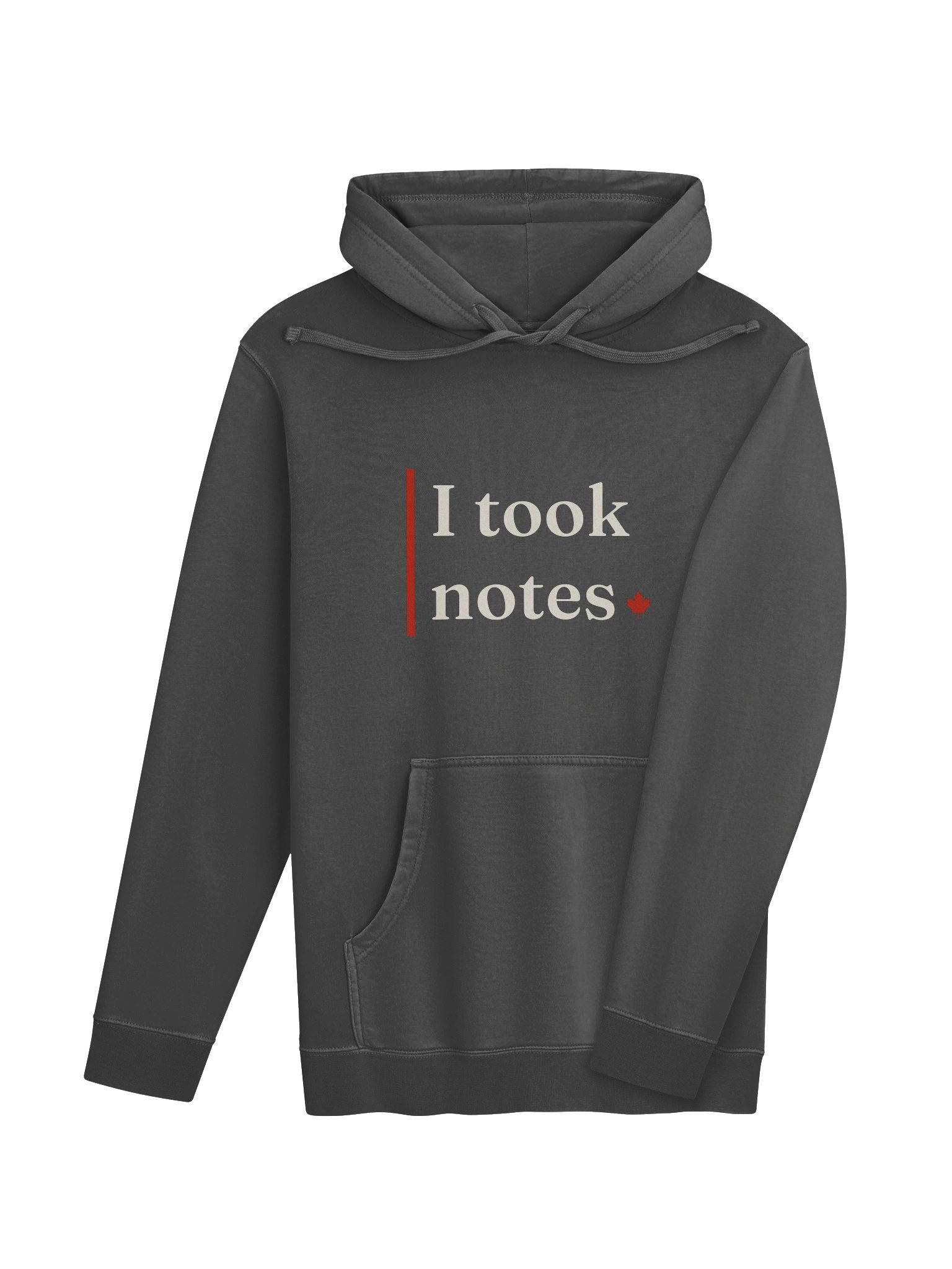 The Pigment Hoodie product image (4)