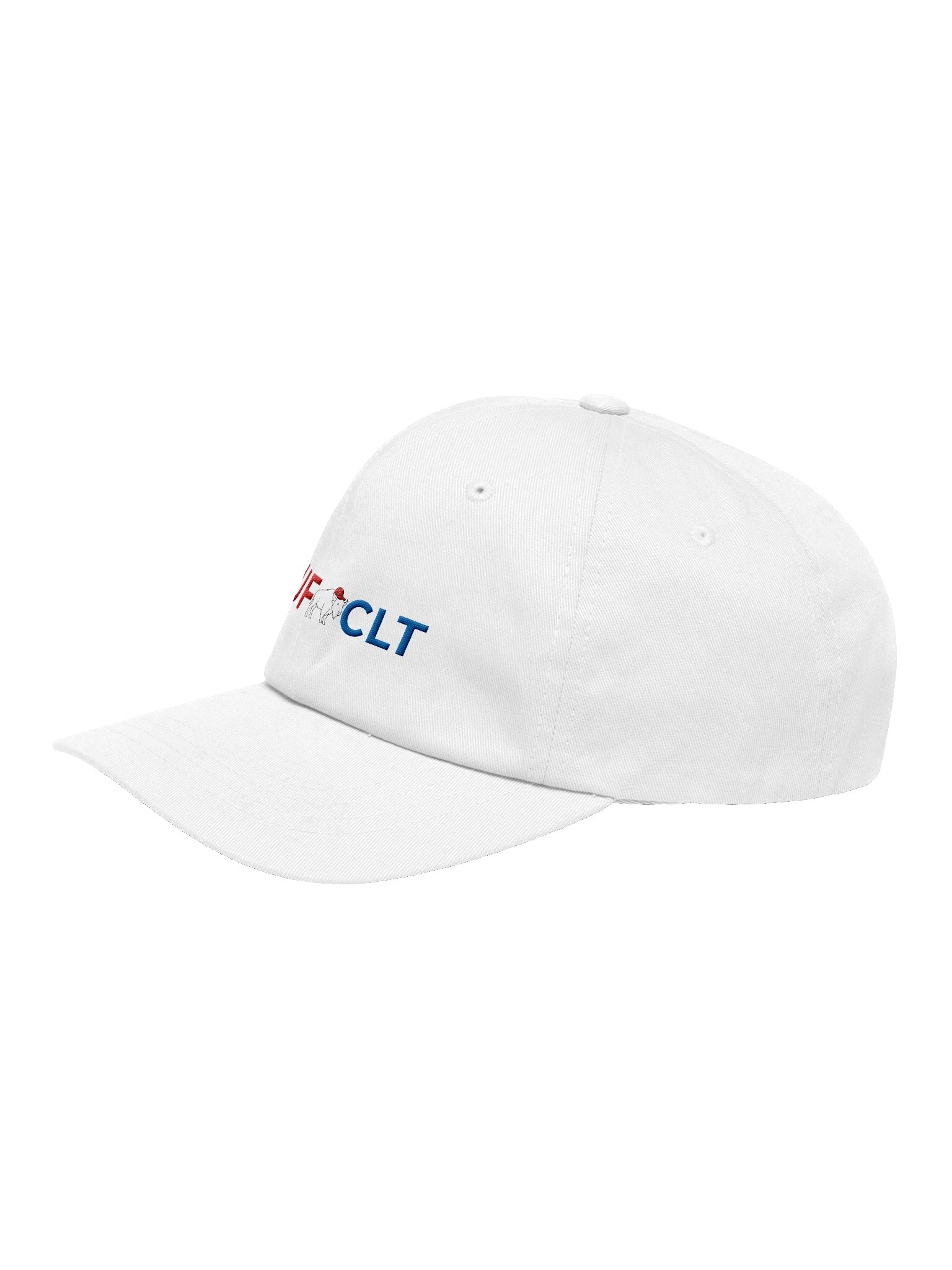 BUF x CLT Hat product image (3)