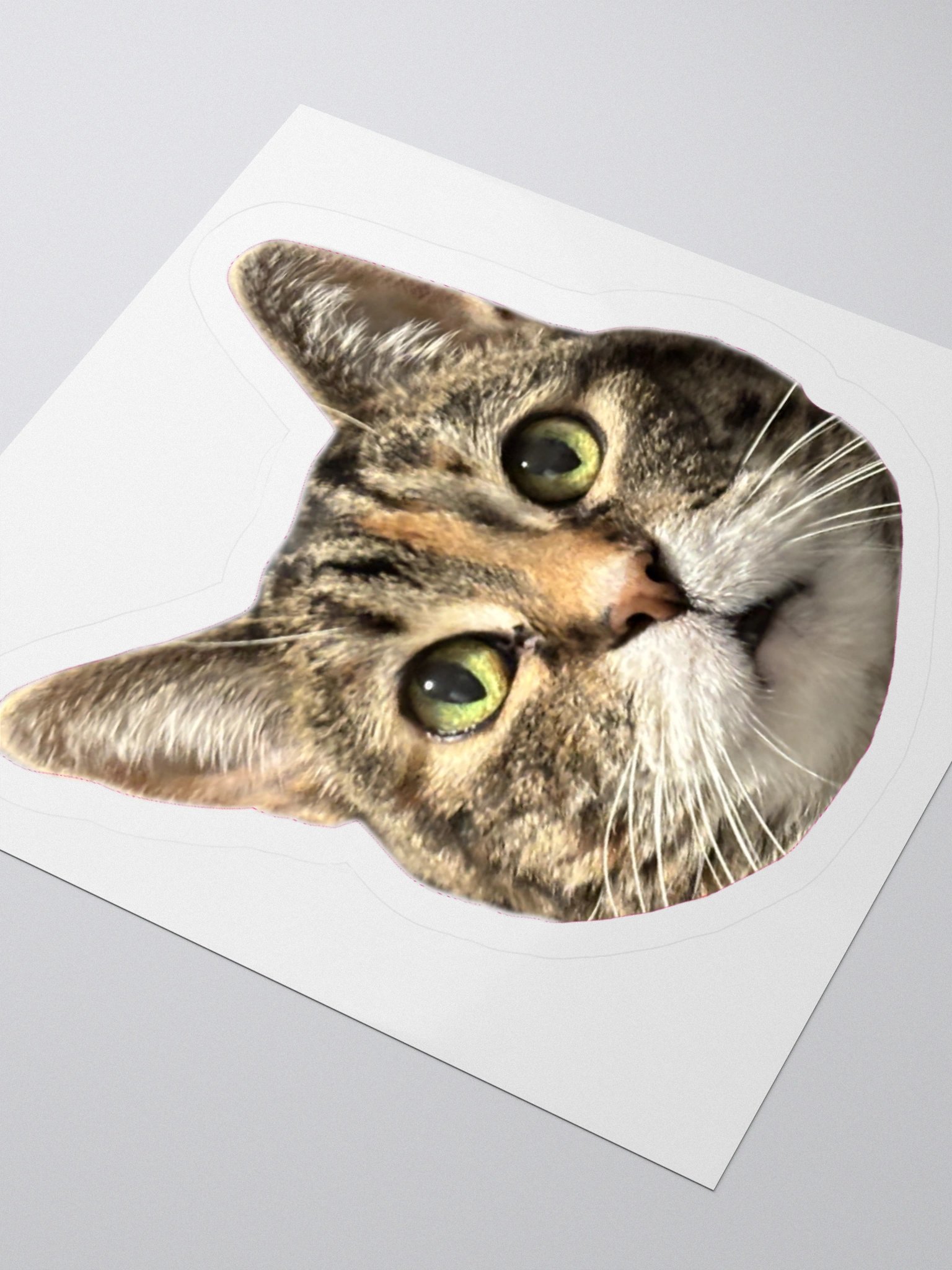 Kitters (Sticker) product image (8)