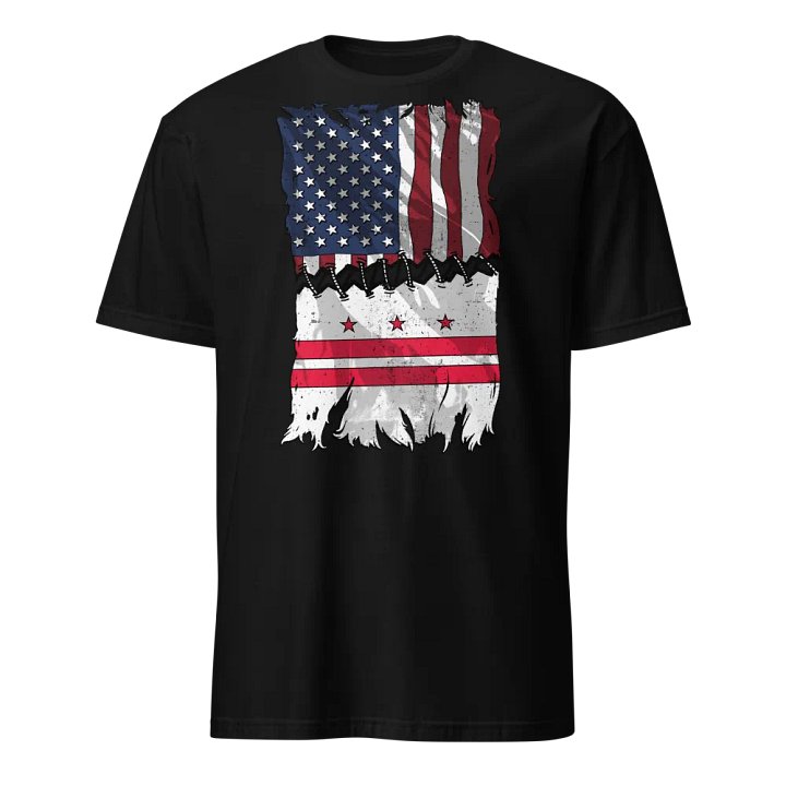 D.C. Stitch Flag USA product image (1)