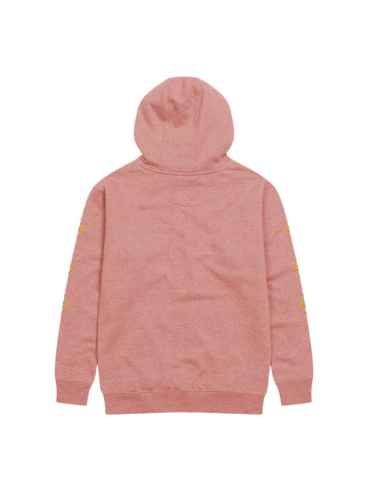 The Order of the Phoenoobz Team Hoodie product image (2)
