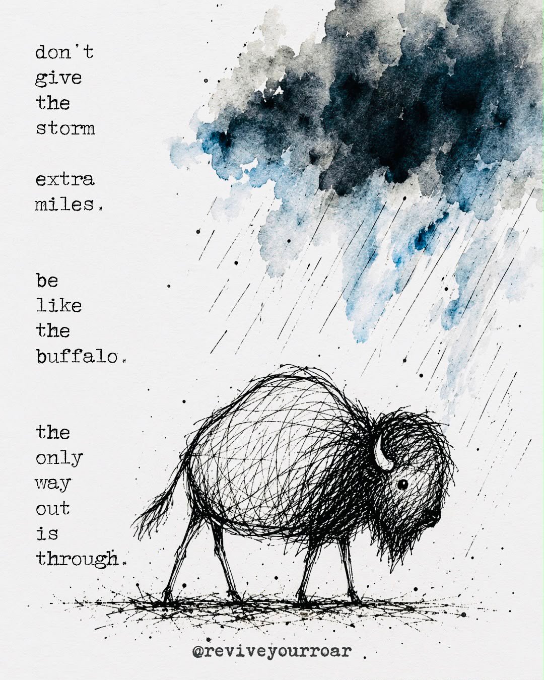 be like the buffaloes product image (1)