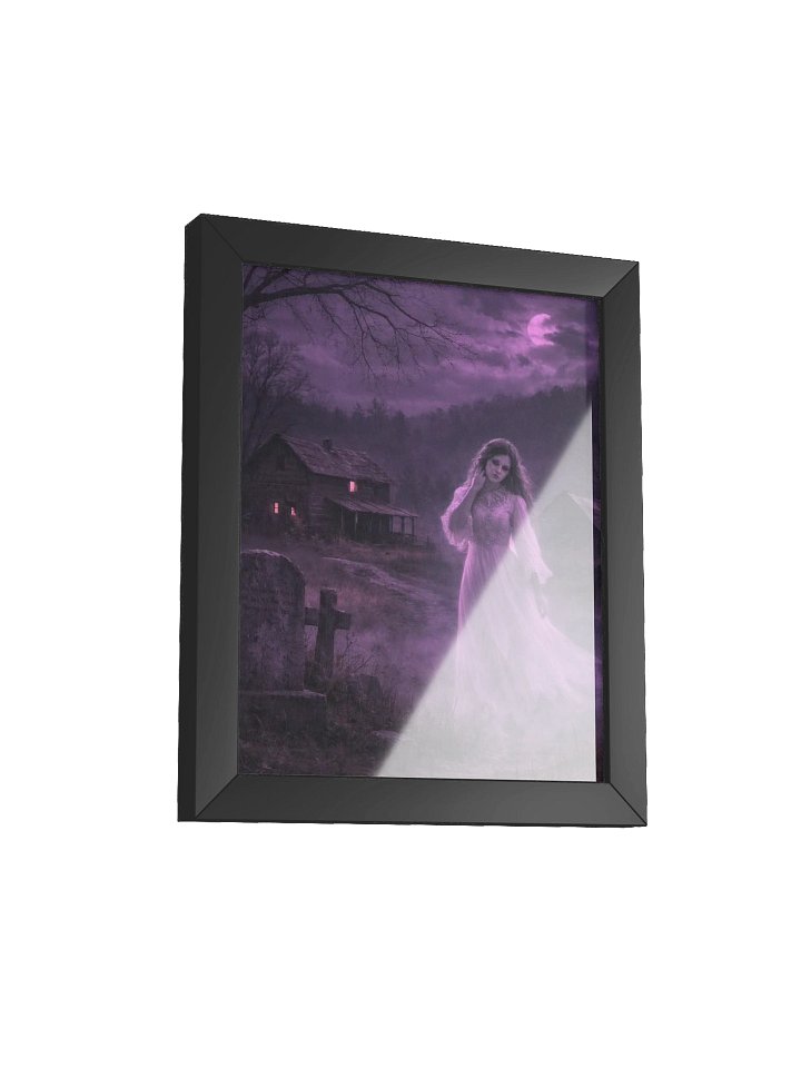 ELIZA CRAWFORD'S GHOST PRINT product image (2)