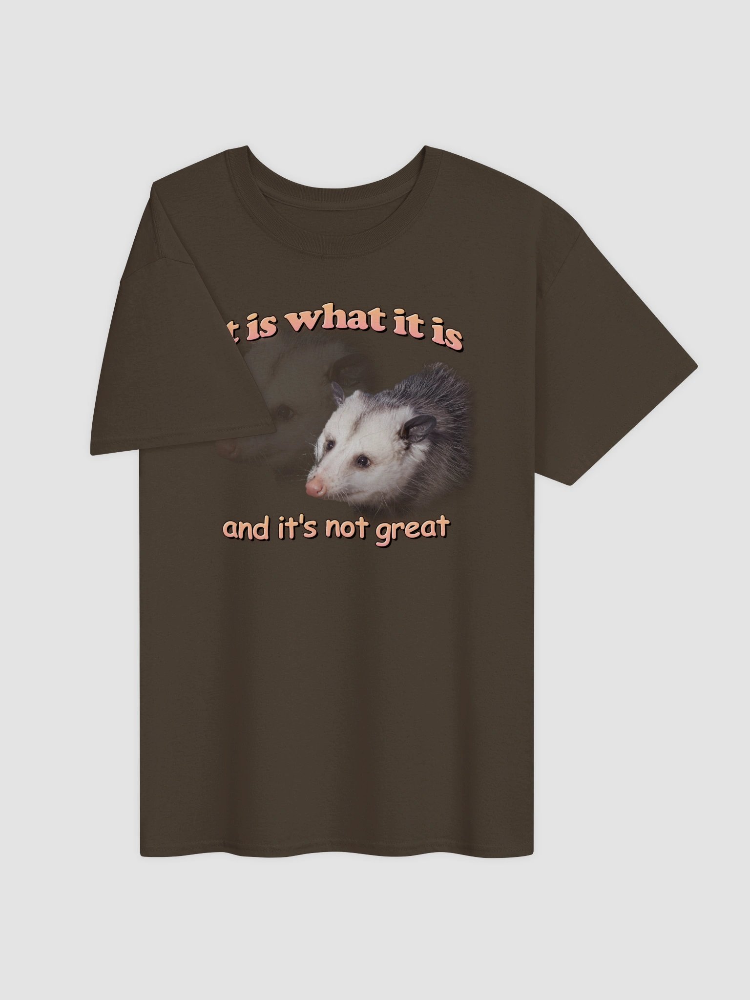 It is what it is (and it's not great) possum T-shirt product image (15)