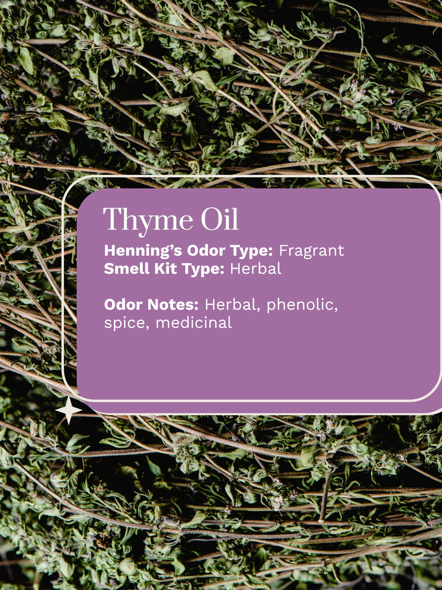 Olfaria Smell Training Kit | Set 2 | 5 Single-Note Essential Oils | Olfactory Training / Smell Loss product image (6)