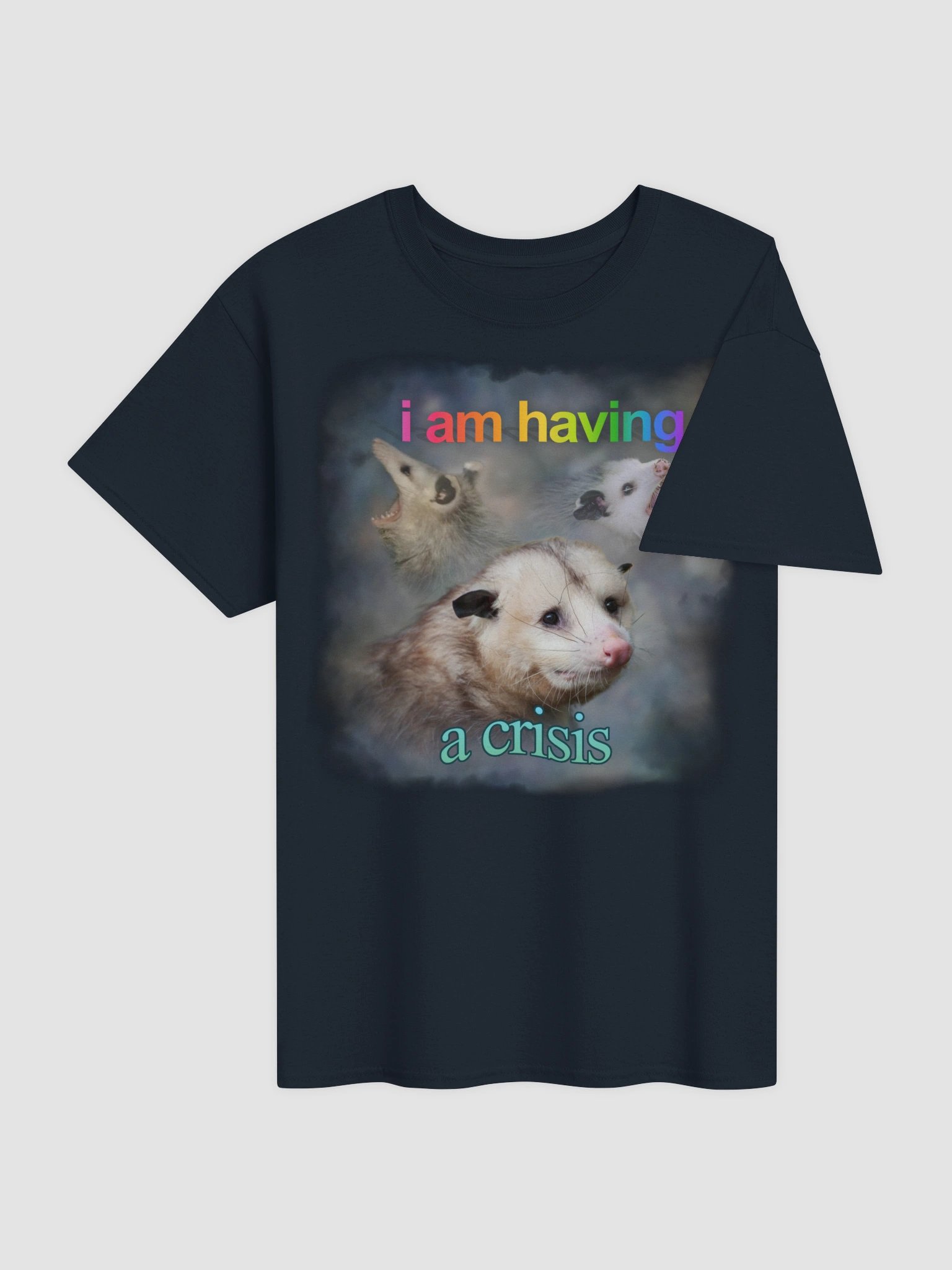 I am having a crisis possum T-shirt product image (28)