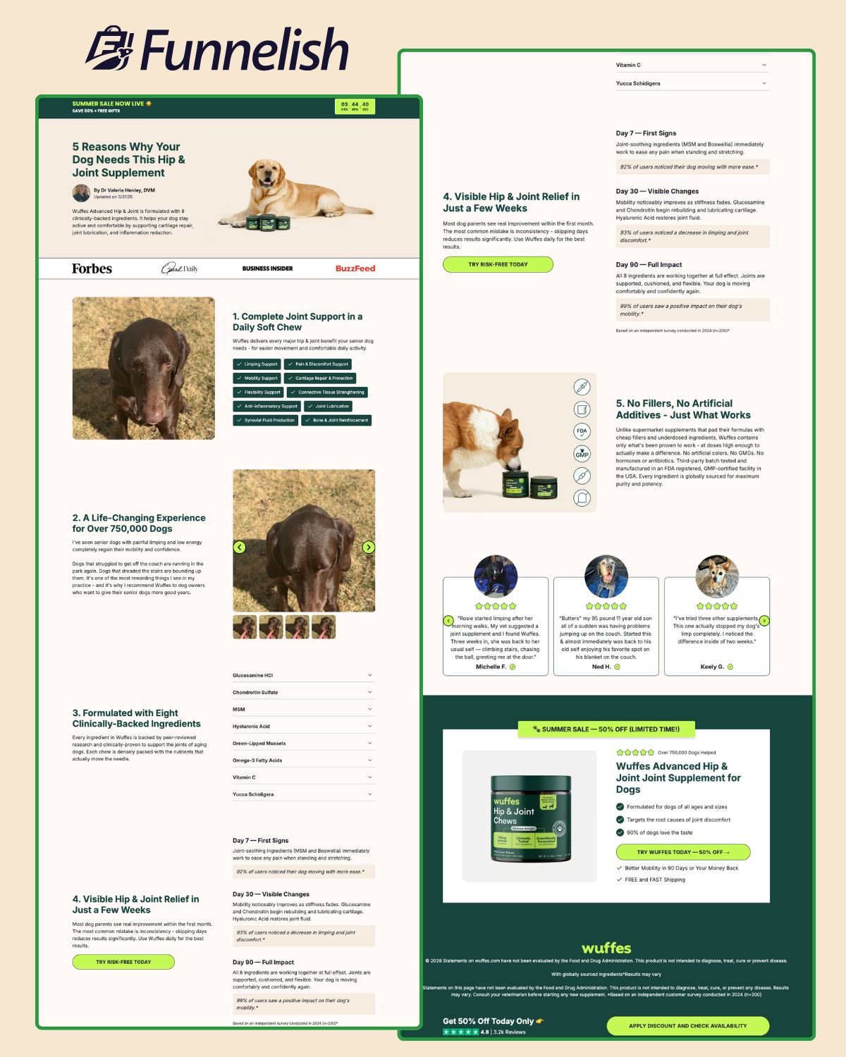 5 Reasons Listicle Page | Funnelish Template product image (1)