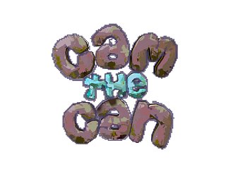 CamTheCan