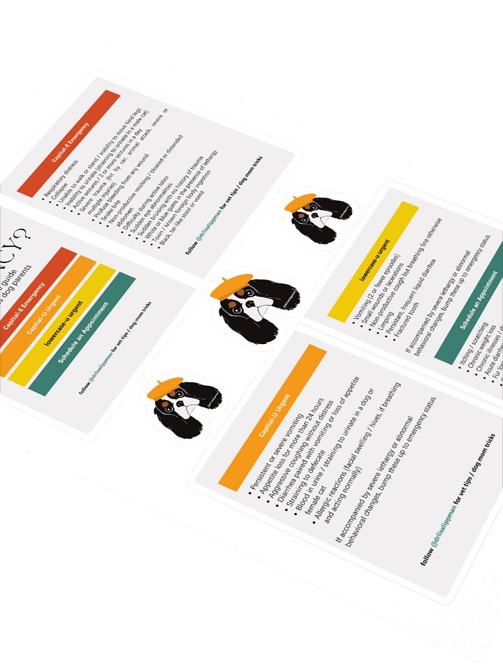 Emergency Reference Guide Sticker Sheet product image (2)
