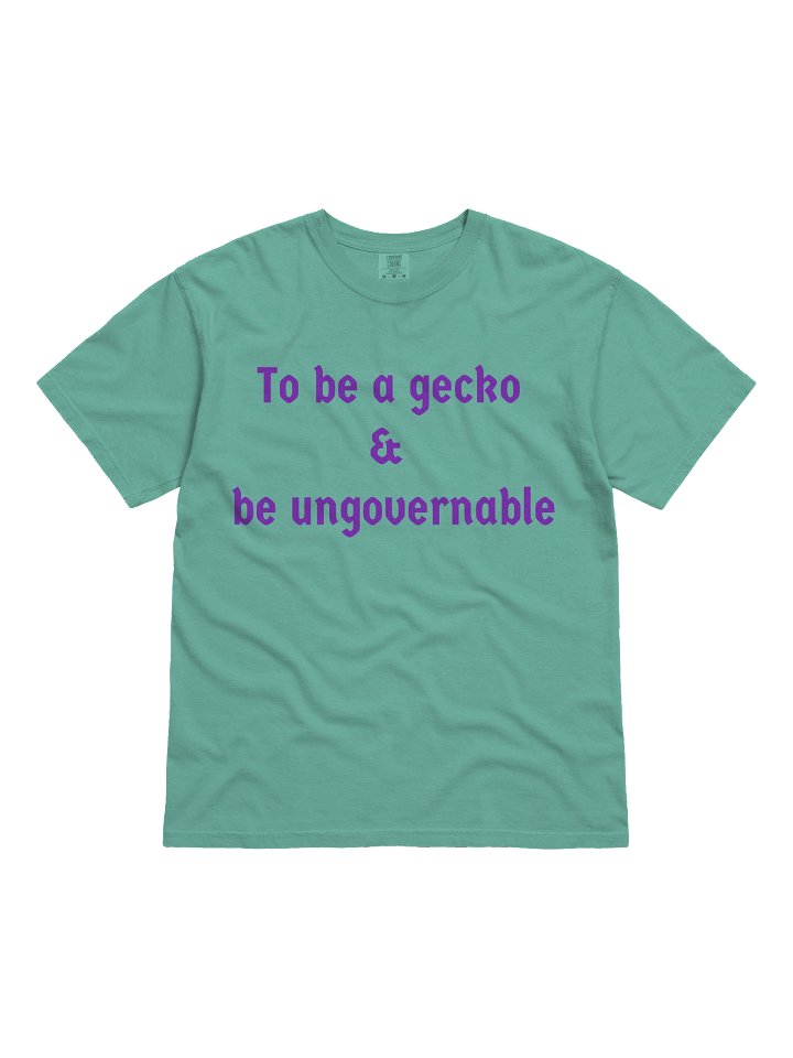 Gecko2 product image (1)