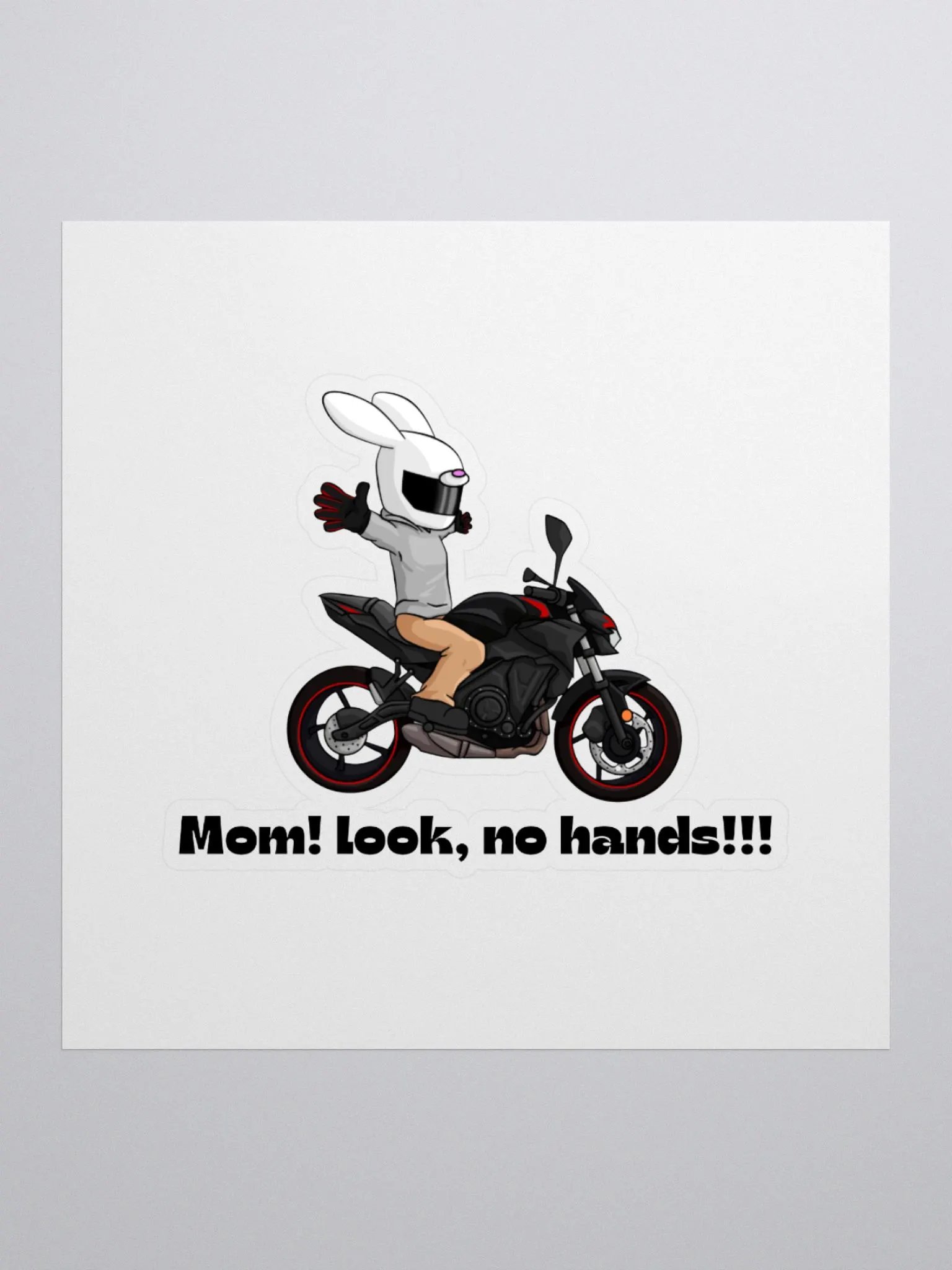 Shryner Sticker product image (3)