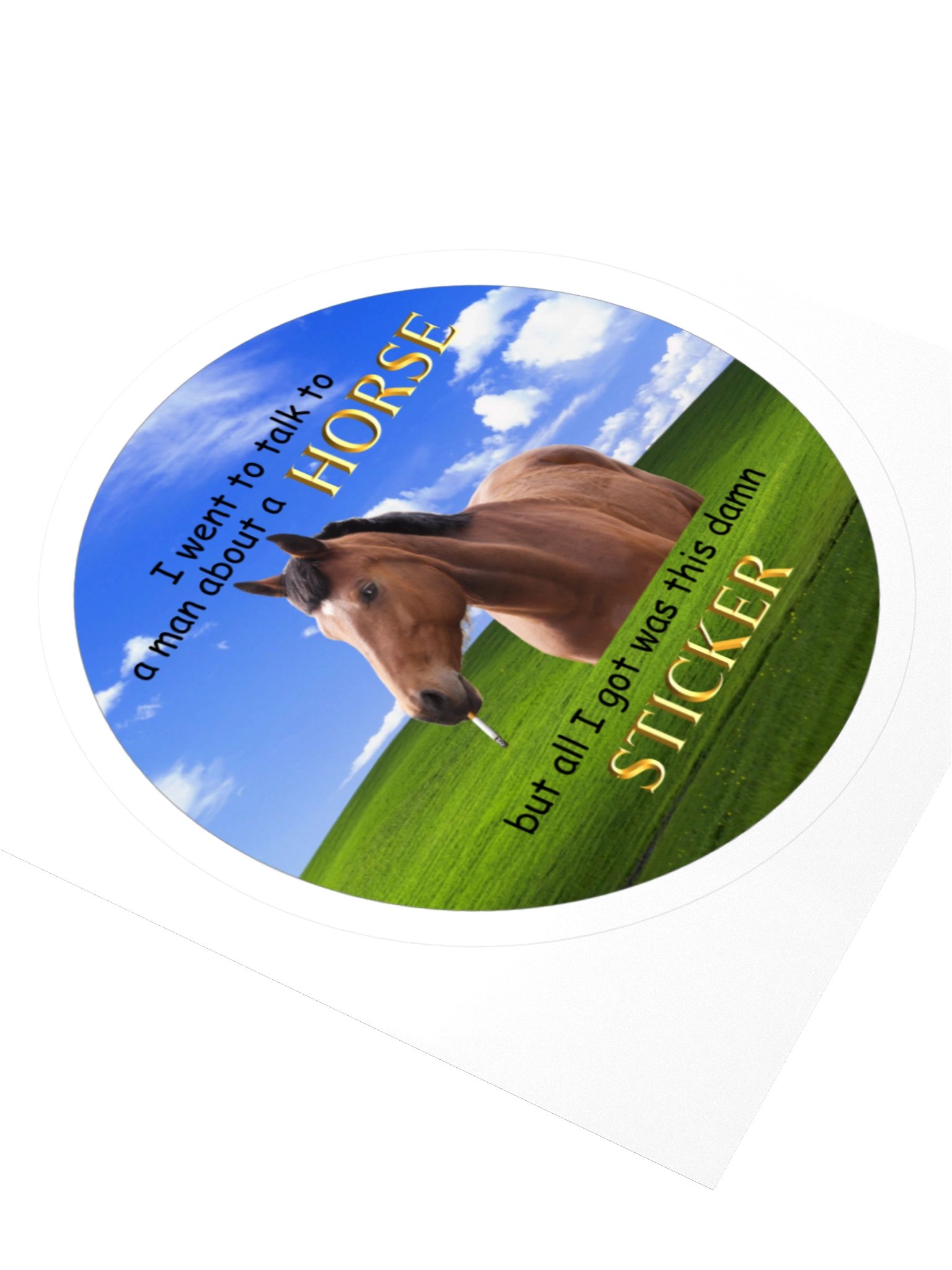 Horse Meeting Gone Wrong Sticker product image (7)