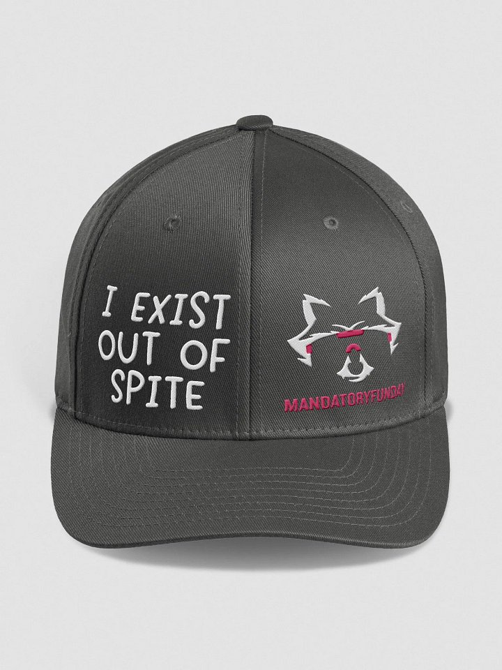 I Exist Out Of Spite Flexfit Hat product image (1)