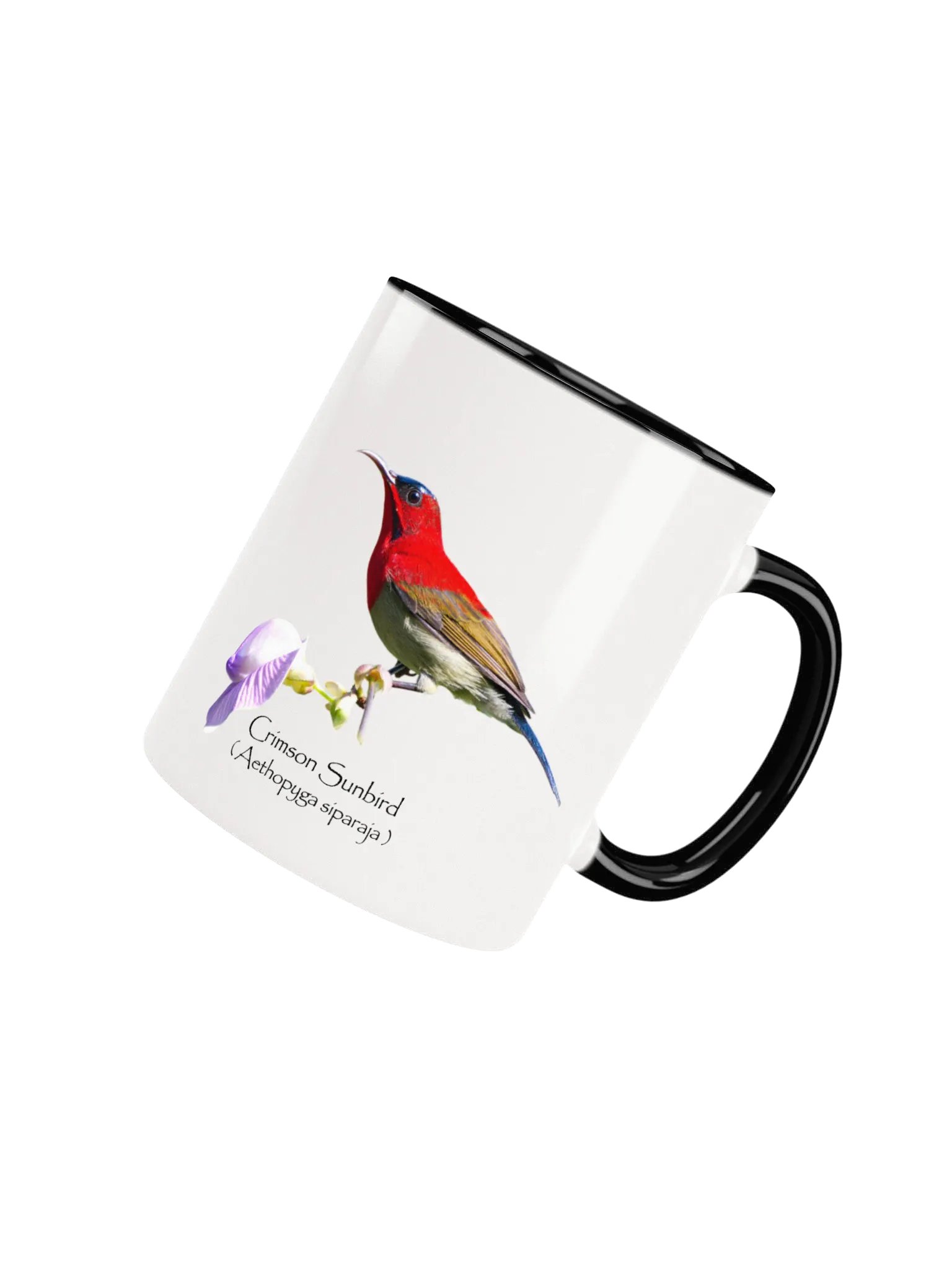 Crimson Sunbird mug product image (33)